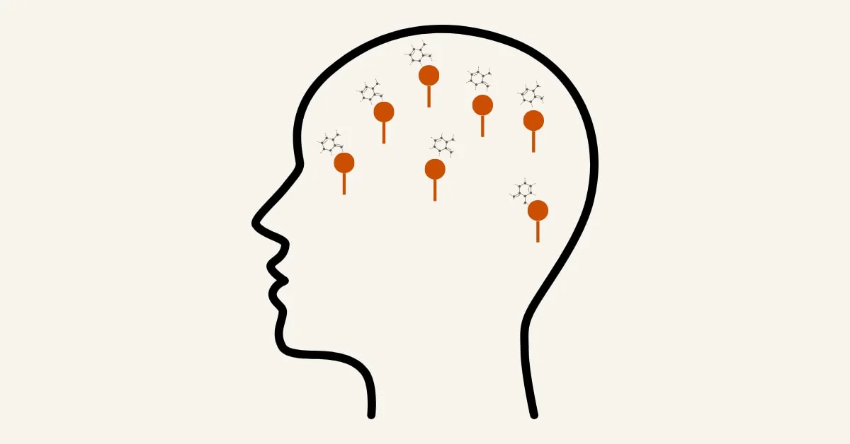 Map of the brain regions that respond to estrogen, including mood, memory, sleep and temperature